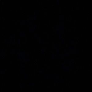 Meet your Posher, Tommy